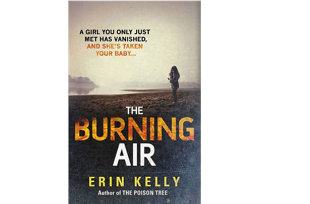The Burning Air by Erin Kelly