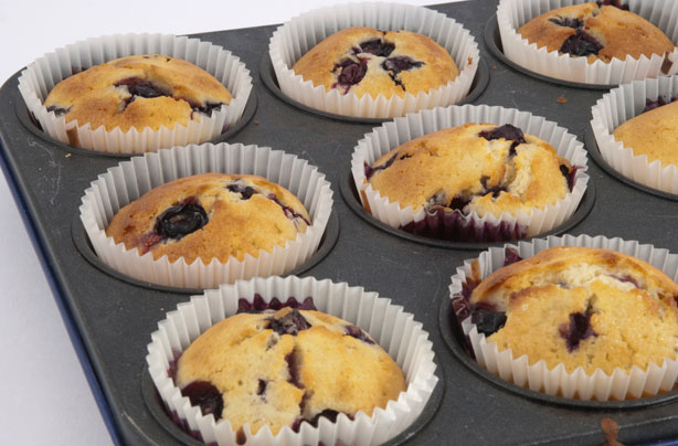 Blueberry lemon cakes