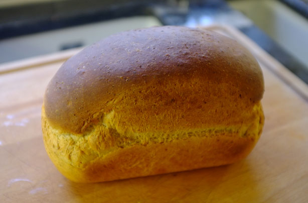 First taste brown bread