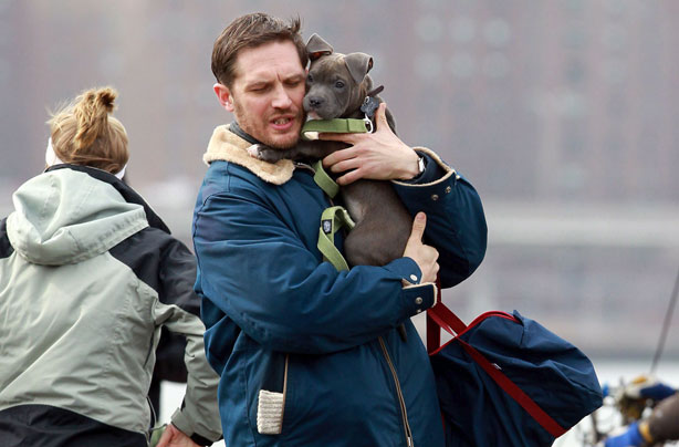 Tom Hardy Tom Hardy