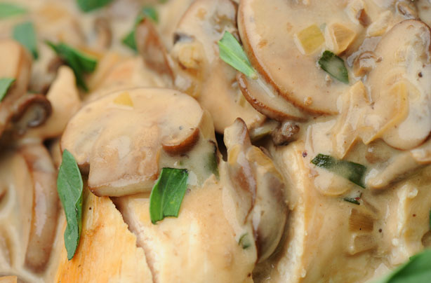 Chicken in mushroom and tarragon sauce