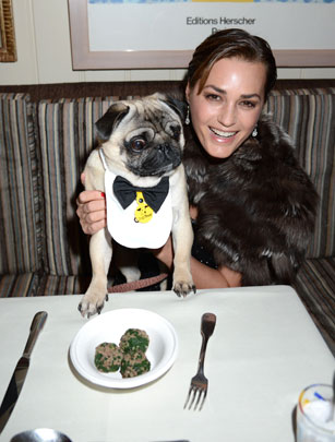 Dinner for dogs Dinner for dogs