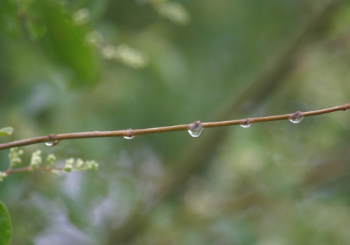 Make the most of the British weather