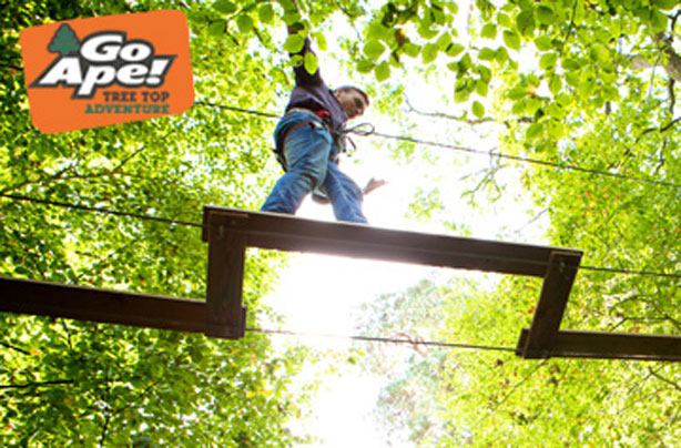 Win! A Go Ape tree top adventure with Virgin Experience Days