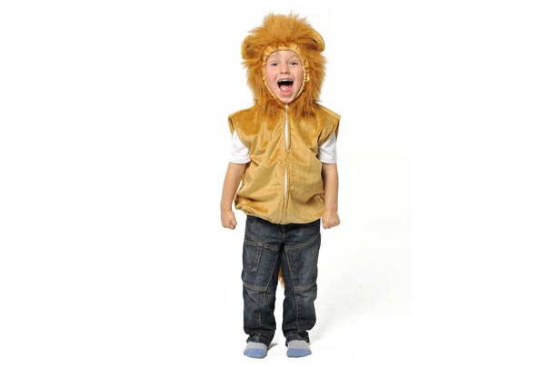 partydelights lion costume partydelights lion costume