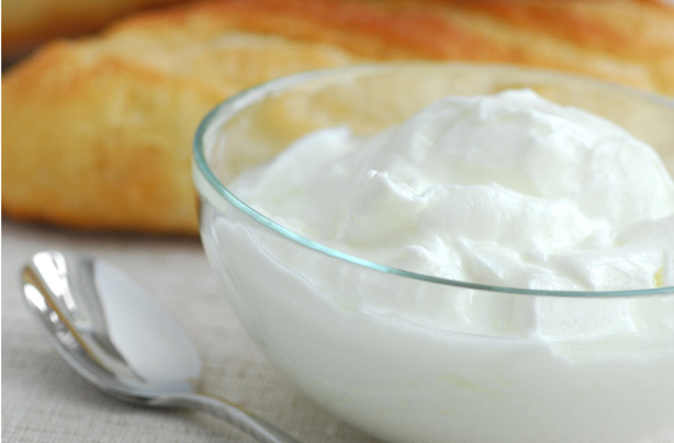 Yogurt Yogurt