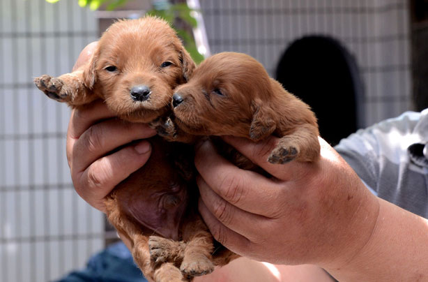 Cute animal pics! 
