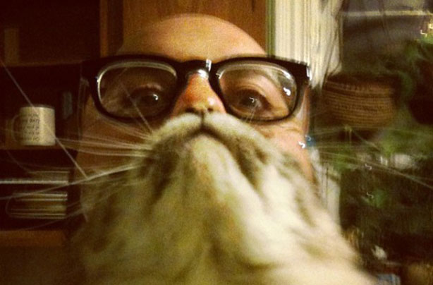 Cat beards Cat beards