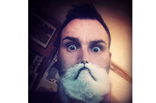 Cat beards Cat beards