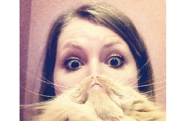 Cat beards Cat beards