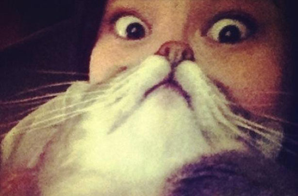Cat beards Cat beards