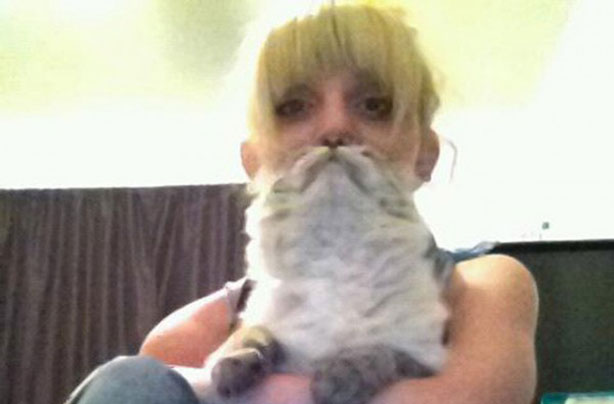Cat beards Cat beards