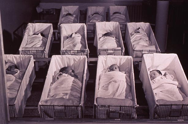 Babies in a hospital nursery Babies in a hospital nursery