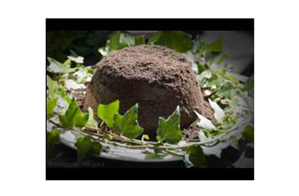 Prince Caspian's chocolate earth cake