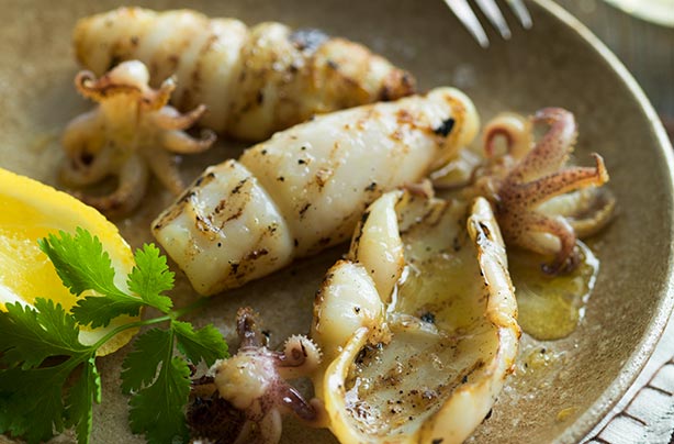 Griddled squid