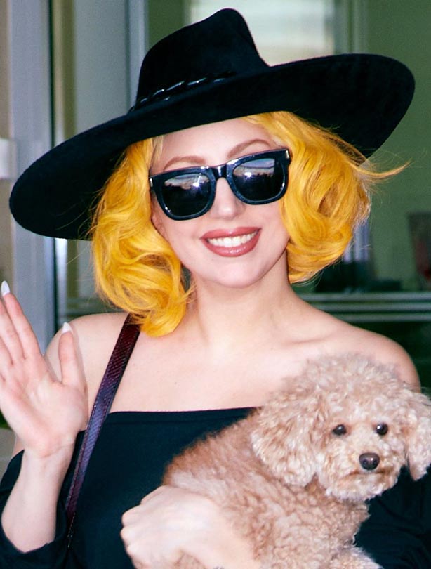 Lady Gaga Lady Gaga