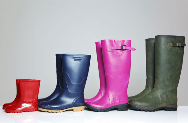 Family of wellies Family of wellies
