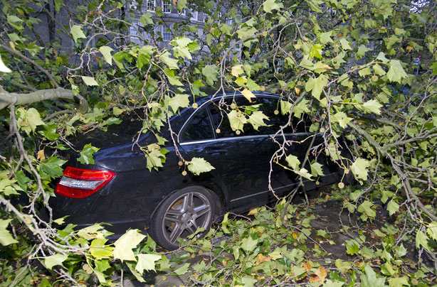 Storm damage: How to make an insurance claim 