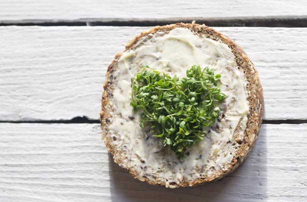 10 carbohydrates you can actually eat on a diet