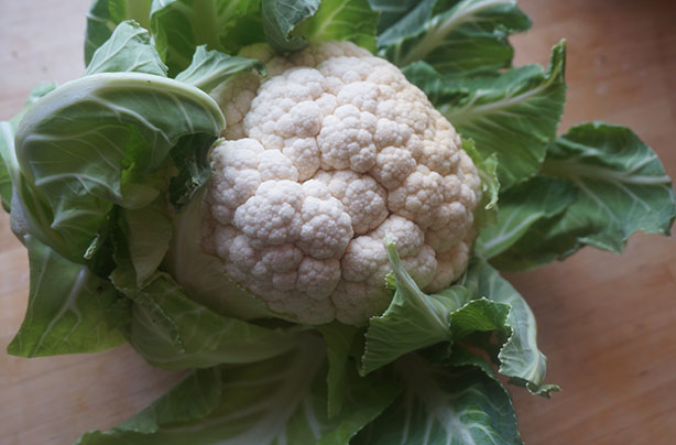 Cauliflower Cauliflower