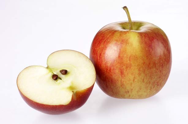 Apple pip Apple pip