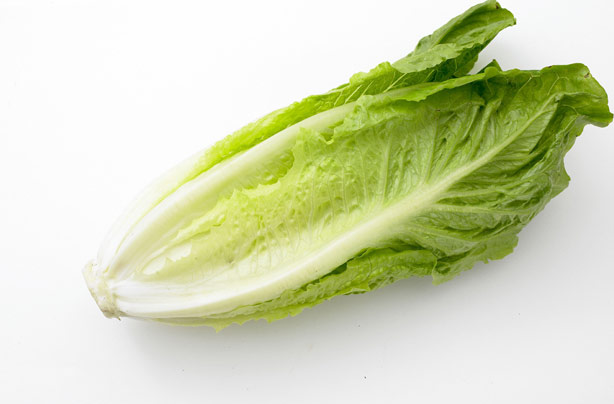Cos lettuce Cos lettuce