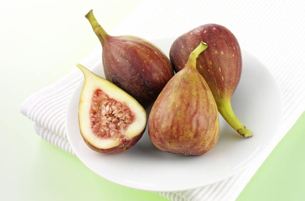 Figs Figs
