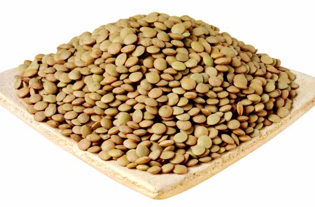 Lentils Lentils
