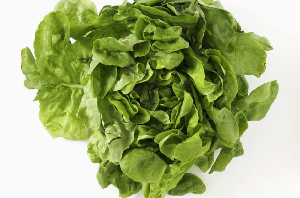Lettuce Lettuce