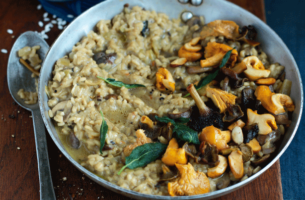 Wild muchroom risotto Wild muchroom risotto