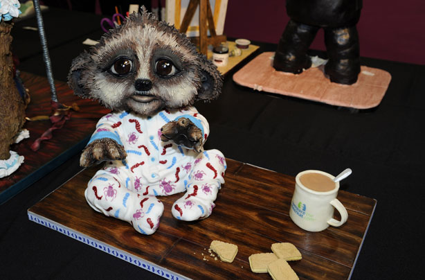 We can't believe it's cake We can't believe it's cake
