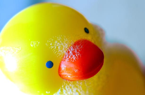 Rubber duck covered in bubble bath Rubber duck covered in bubble bath