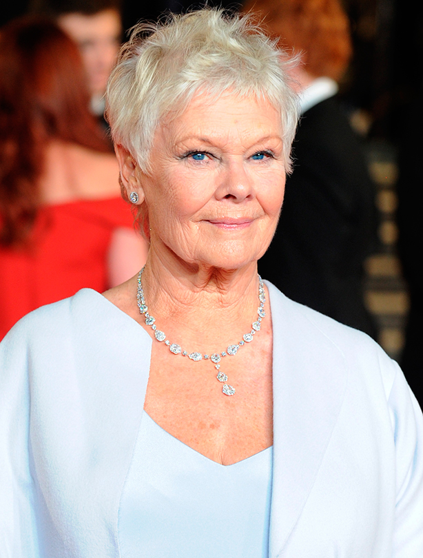 Short Hairstyles Judi Dench Pictures Short Hairstyle 2013.