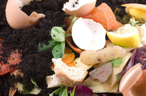 Money-saving gardening tips: Use your scraps Money-saving gardening tips: Use your scraps