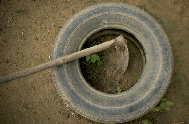 Money-saving gardening tips: Car tyre garden Money-saving gardening tips: Car tyre garden