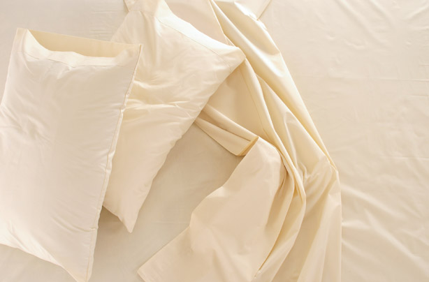 Bedding Bedding