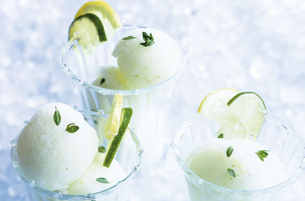 Gin and tonic sorbet