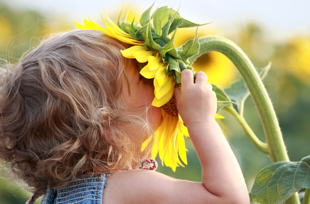 Little girl with a sunflower Little girl with a sunflower