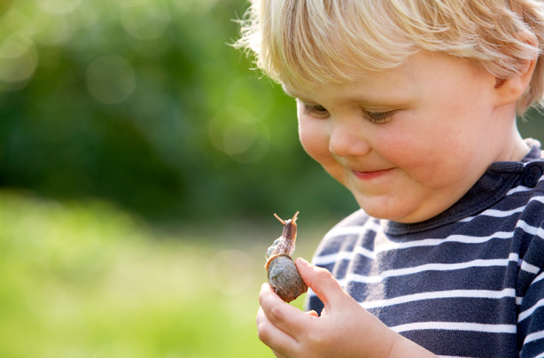 Little boy holding a snail Little boy holding a snail