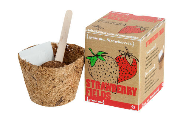 Christmas food gift guide 2014 Christmas food gift guide 2014