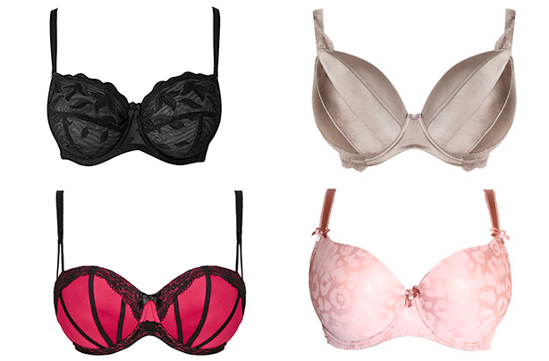 Best bras for big boobs Best bras for big boobs