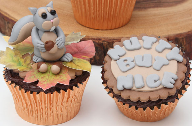 Squirrel cupcakes Squirrel cupcakes