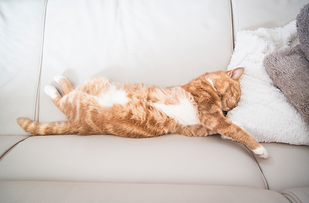 11 things that are stopping you sleeping 11 things that are stopping you sleeping