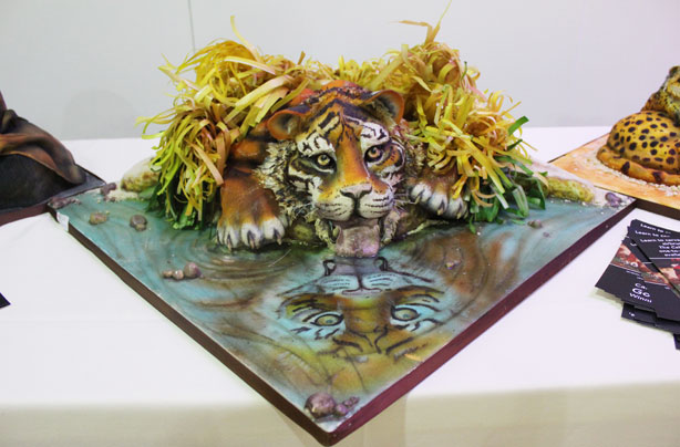 We can't believe it's cake We can't believe it's cake