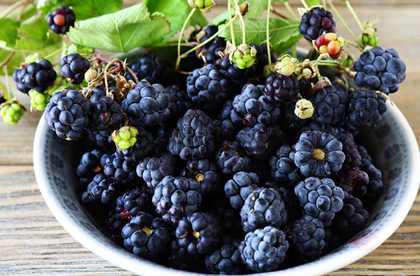 calories in fruit blackberries calories in fruit blackberries