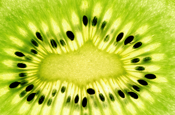 calories in fruit kiwi calories in fruit kiwi