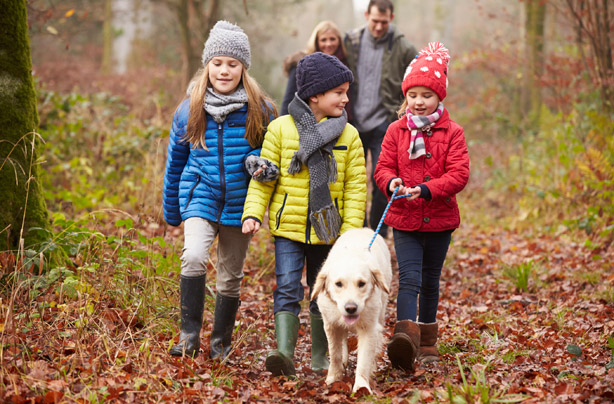 Fundraising ideas: sponsored dog walk Fundraising ideas: sponsored dog walk