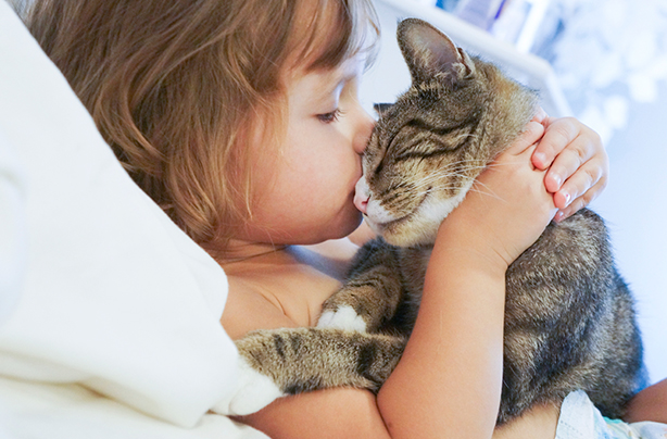 Cats and babies