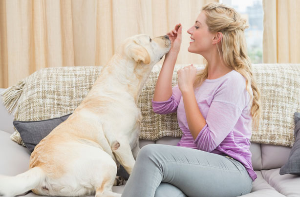 What your dog says about you