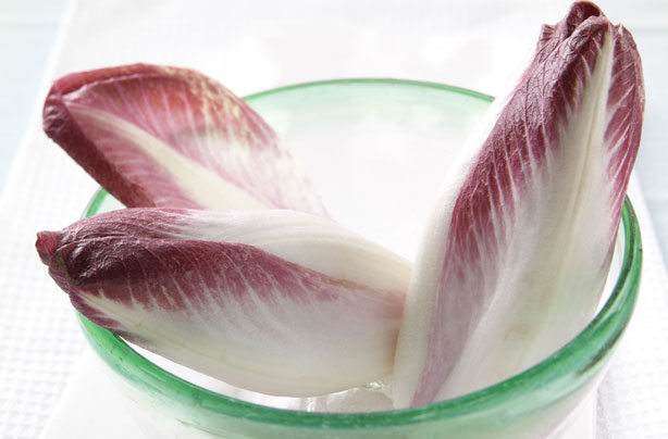 Chicory Chicory